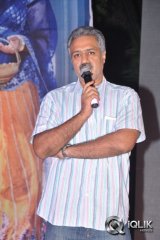 Teeyani Kalavo Movie Audio Launch